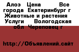 Алоэ › Цена ­ 150 - Все города, Екатеринбург г. Животные и растения » Услуги   . Вологодская обл.,Череповец г.